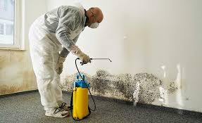 Best Mold Remediation for Healthcare Facilities  in South Laurel, MD