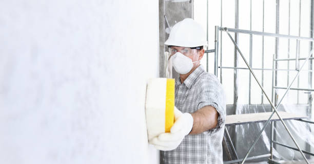 Best Post-Construction Mold Inspection  in South Laurel, MD