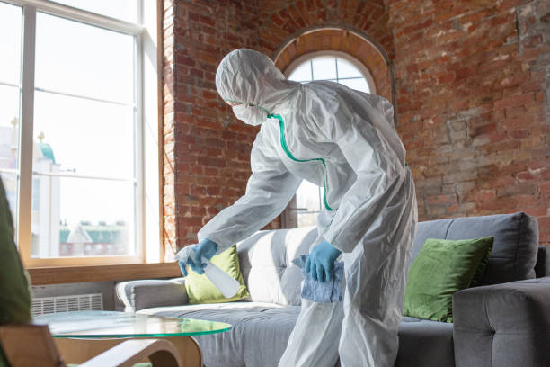 Reliable South Laurel, MD Mold Removal & Remediation Solutions