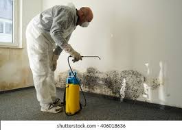 Best Emergency Mold Remediation  in South Laurel, MD